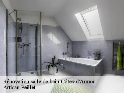 Rénovation salle de bain Côtes-d'Armor 