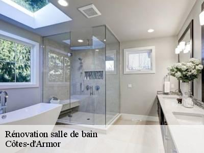 Rénovation salle de bain Côtes-d'Armor 