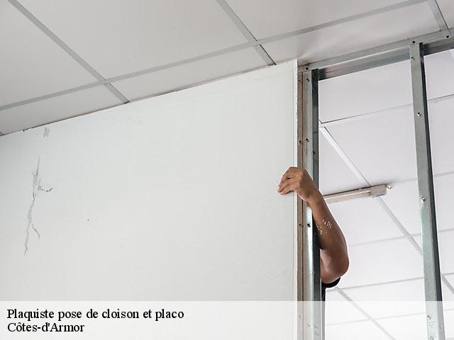Pose de cloison