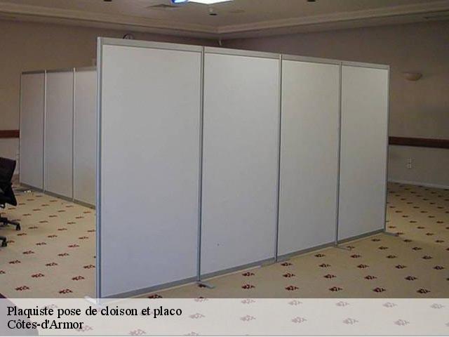 Pose de cloison Côtes-d'Armor