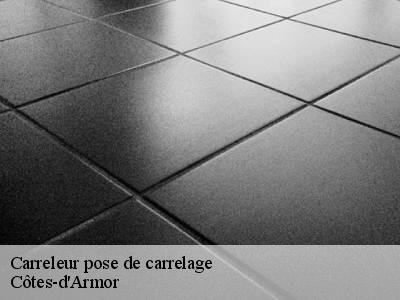 Carreleur pose de carrelage