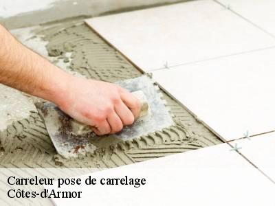 Carreleur pose de carrelage Côtes-d'Armor