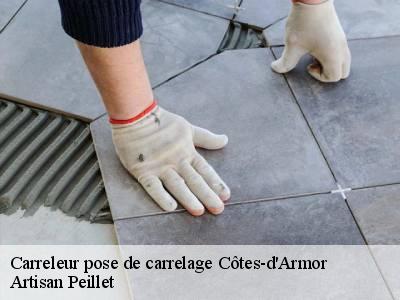 Carreleur pose de carrelage Côtes-d'Armor 