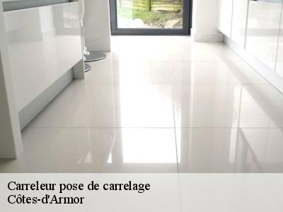 Carreleur pose de carrelage Côtes-d'Armor