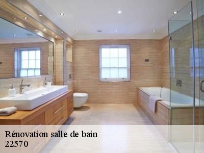 Rénovation salle de bain  22570