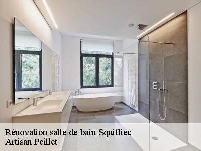 Rénovation salle de bain squiffiec-22200 Artisan Peillet