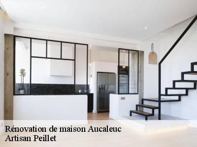 Rénovation de maison  22100