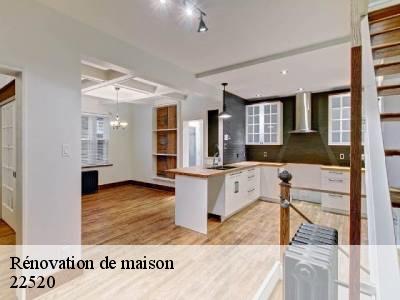 Rénovation de maison  22520