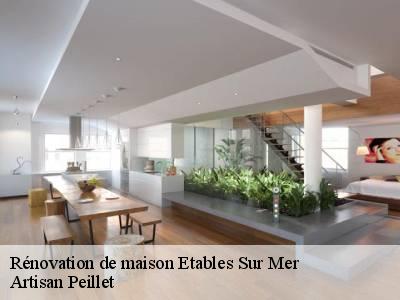 Rénovation de maison  etables-sur-mer-22680 Artisan Peillet
