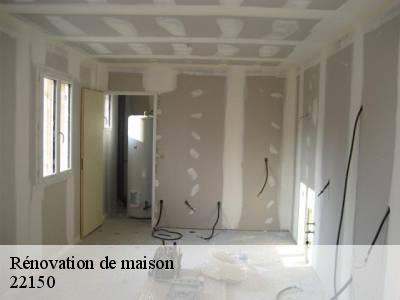 Rénovation de maison  22150