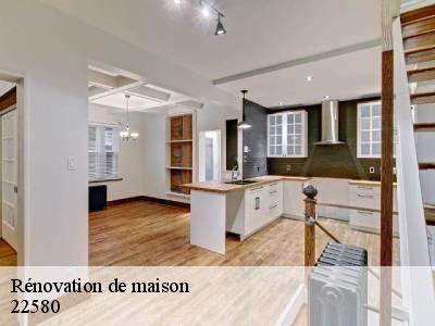 Rénovation de maison 22580