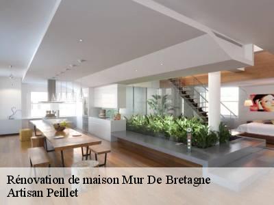 Rénovation de maison  mur-de-bretagne-22530 Artisan Peillet