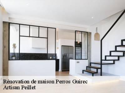 Rénovation de maison 22700