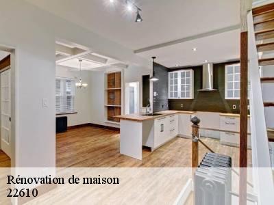 Rénovation de maison 22610