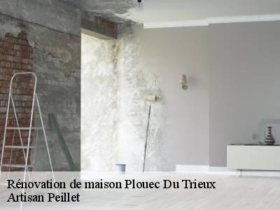 Rénovation de maison