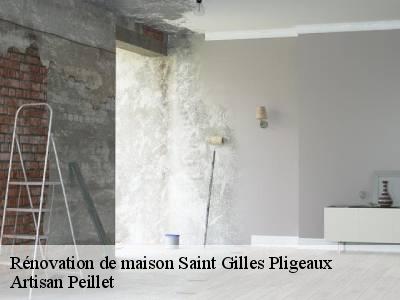 Rénovation de maison