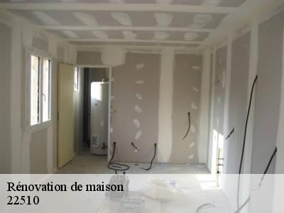 Rénovation de maison 22510