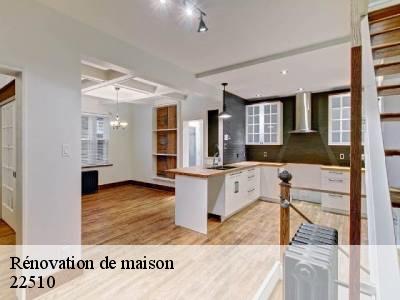 Rénovation de maison 22510