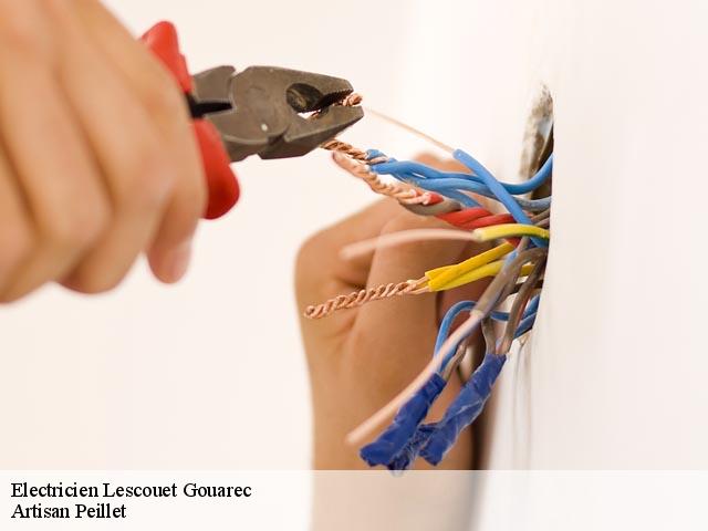 Electricien lescouet-gouarec-22570 Artisan Peillet