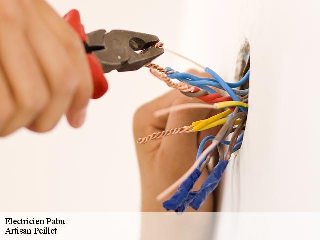 Electricien pabu-22200 Artisan Peillet