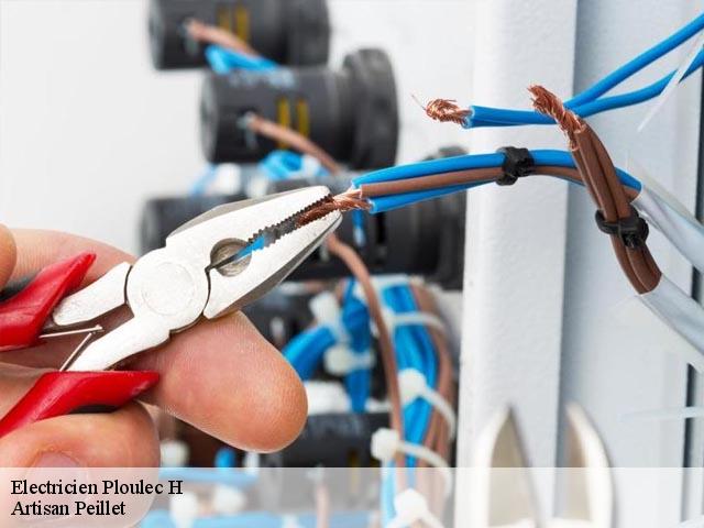 Electricien 22300