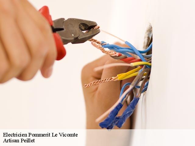 Electricien  pommerit-le-vicomte-22200 Artisan Peillet