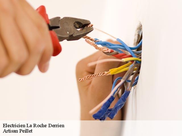 Electricien la-roche-derrien-22450 Artisan Peillet