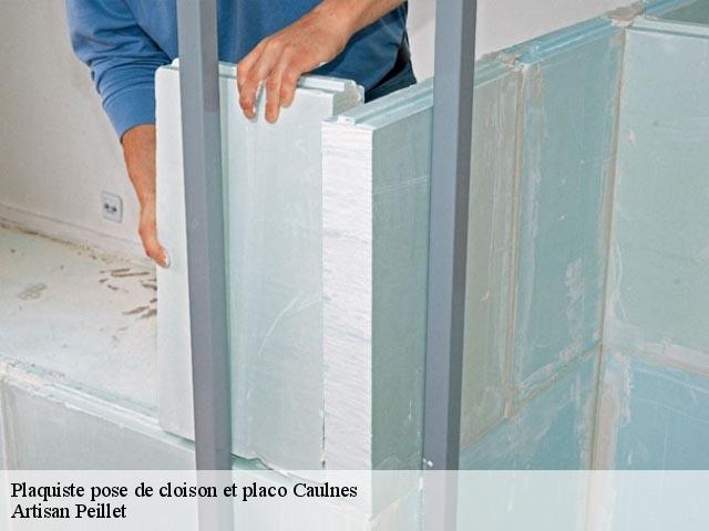 Plaquiste pose de cloison et placo 22350