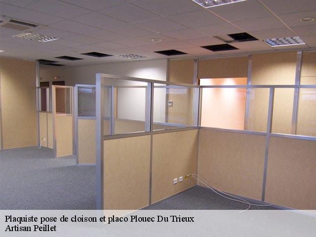 Plaquiste pose de cloison et placo plouec-du-trieux-22260 Artisan Peillet