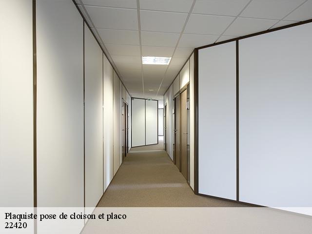 Plaquiste pose de cloison et placo 22420