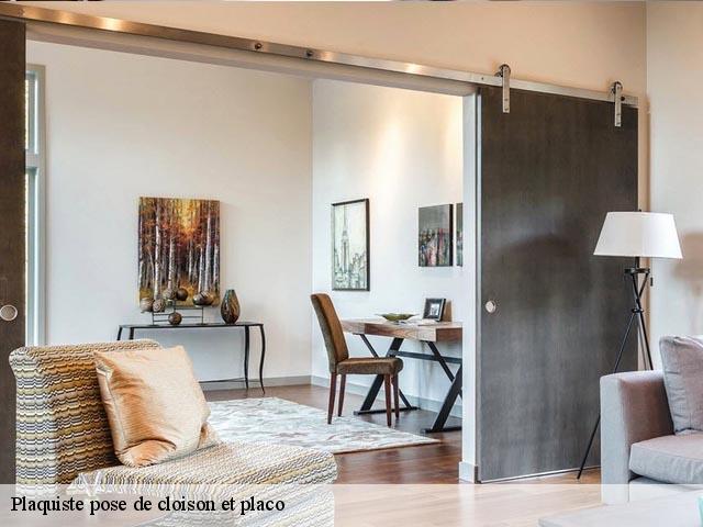 Plaquiste pose de cloison et placo 22420