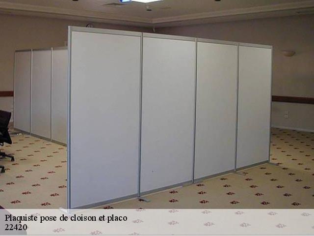 Plaquiste pose de cloison et placo 22420