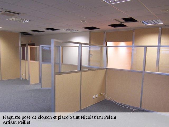 Plaquiste pose de cloison et placo  saint-nicolas-du-pelem-22480 Artisan Peillet