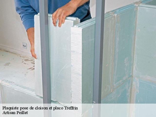 Plaquiste pose de cloison et placo 22340