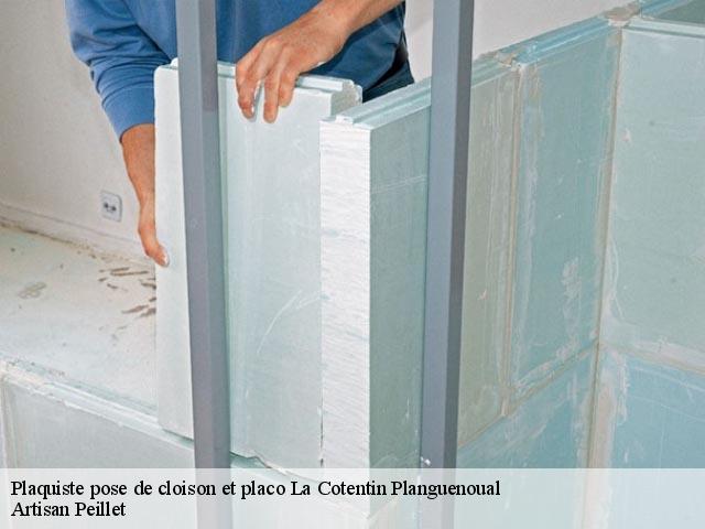 Plaquiste pose de cloison et placo 22400