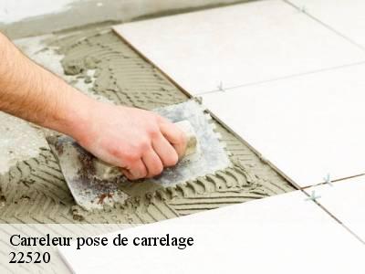 Carreleur pose de carrelage  22520