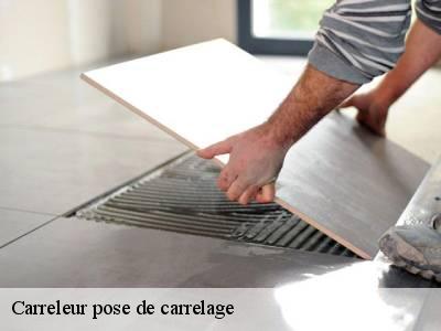 Carreleur pose de carrelage  22520