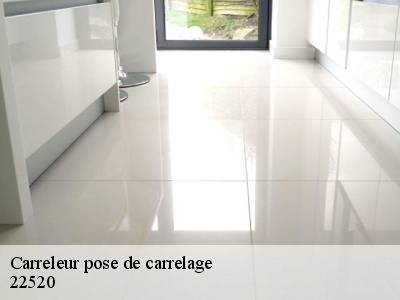 Carreleur pose de carrelage  22520