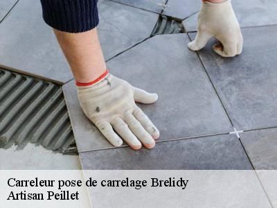 Carreleur pose de carrelage 22140