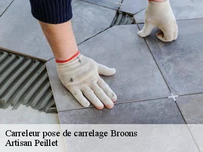 Carreleur pose de carrelage  22250