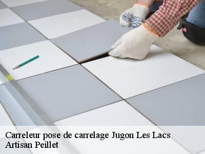 Carreleur pose de carrelage