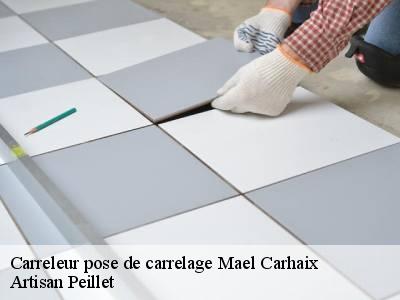 Carreleur pose de carrelage