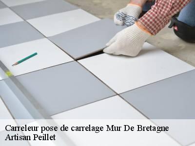 Carreleur pose de carrelage