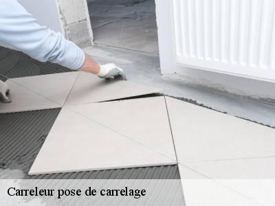 Carreleur pose de carrelage