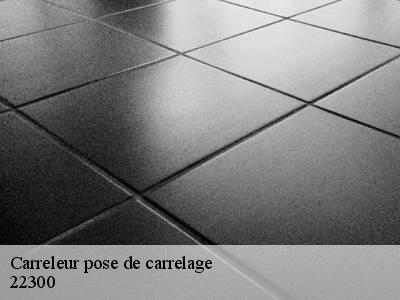 Carreleur pose de carrelage