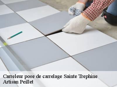 Carreleur pose de carrelage