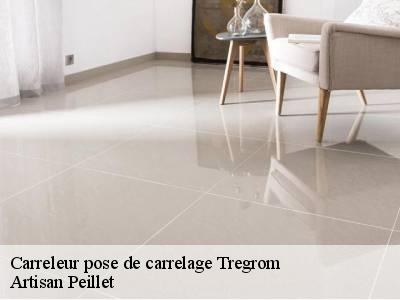 Carreleur pose de carrelage  tregrom-22420 Artisan Peillet