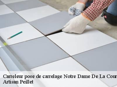 Carreleur pose de carrelage