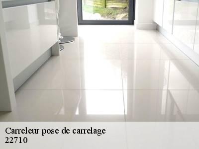 Carreleur pose de carrelage 22710