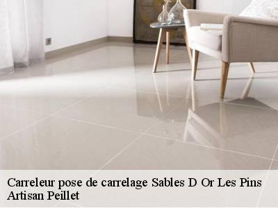 Carreleur pose de carrelage sables-d-or-les-pins-22240 Artisan Peillet
